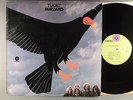 Tucky Buzzard  Self-Titled     Hard Rock   Promo