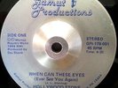 HOLLYWOOD STONE - We can these eyes - 45  UNKNOWN MODERN SOUL/SWEET