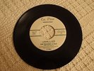 THE FALCONS & OHIO UNTOUCHABLES BAND I FOUND A LOVE/SWIM  LU PINE 1003 M-