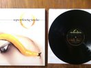 A Perfect Circle - Thirteenth Step [VINYL]