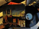 PINK FLOYD - ANIMALS - VINILE - LP - 33 GIRI - 12