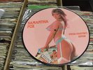 SAMANTHA FOX 12 INCH PICTURE DISC:TOUCH ME(I WANT YOUR BODY)NEAR MINT-2/3 PLAYS.