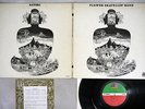 FLOWER TRAVELLIN' BAND SATORI ATLANTIC P-8056A Japanese Pressing POKORA Vinyl LP