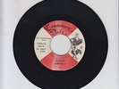 TREASURE ISLE/ ALI BABA  -  JOHN HOLT  with TOMMY MCCOOK (69 SKINHEAD REGGAE 7