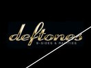 Deftones B-Sides & Rarities  2xLP Gold Vinyl Etching RSD 2016