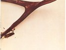 Wishbone Ash  Wishbone Ash Vinyl Record