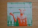 Crystal Zoom-Uptown Sheep NZ 7