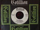 VELVET UNDERGROUND Who Loves The Sun ORIGINAL 45 Lou Reed John Cale Nico Warhol