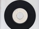BLANK/ THEM A WICKED  -  LEONARD DILLON & THE ETHIOPIANS  (75  REGGAE ROOTS 7