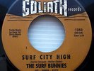 SURF BUNNIES 45 Surf City High Met The Boy I Adore GOLIATH Near-MINT e5047 HEAR