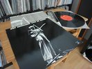 ROY BUCHANAN LIVE IN JAPAN IN MINT 70s LP