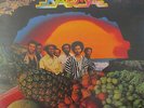 KARMA - Celebration - GATEFOLD VINYL LP US PRESS