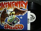LP TOKEN ENTRY- JAYBIRD * HAWKER / ROADRUNNER 1988 NL + BIO/INFO * HC-PUNK * TOP