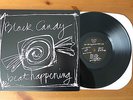 BEAT HAPPENING BLACK CANDY ORIG 1989 LP K RECORDS CALVIN JOHNSON C86 TWEE POP