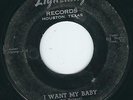 Houston TX R&B Bill Heyman LIGHTNING 111 I want my baby / Easy way out ?