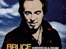 BRUCE SPRINGSTEEN**WORKING ON A DREAM**2VINYL SET