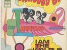THE BEATLES      HELLO GOODBYE         I AM THE WALRUS