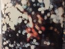 Pink Floyd - Obscured By Clouds LP Harvest SW-11078 SEALED Vinyl Record