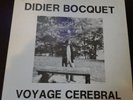 Original france lp electronic ambient prog/DIDIER BOCQUET/VOYAGE CEREBRAL/FLVM 3