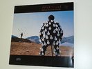 Pink Floyd  Delicate Sound of Thunder 2LP Vinyl