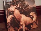 Interpol - Our Love To Admire (2xLP Gatefold Vinyl, Capitol 2007)