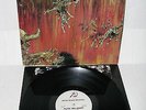 Slayer - hell awaits LP ORIGINAL COMBAT 1985