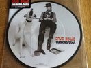 David Bowie-Diamond Dogs 40th anniversary picture disc 