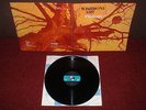 WISHBONE ASH Pilgrimage LP 1971 MCA Blue/Black HEXAGON MINT