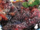 ANIMAL COLLECTIVE - STRAWBERRY JAM NEW VINYL