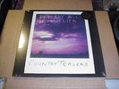 LP:  COUNTRY TEASERS - Destroy All Human Life  SEALED NEW + download