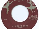 R&B DOO WOP 45 - CHORDCATS 