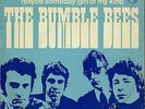 THE BUMBLE BEES - MAYBE SOMEDAY - 1967 RARE ORIG. DUTCH PS 7 / 45 BEAT CLASSIC