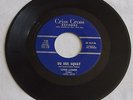 LITTLE LUTHER DU DEE SQUAT bw STEPPIN' HIGH RARE R & B 1960 CRISS CROSS 110