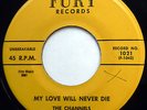 CHANNELS 45 My Love Will Never Die Bye Bye Baby VG++ Doo Wop 1ST PRESS mg244