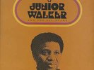 Junior Walker & The All Stars - Anthology (2-LP) - Vinyl Soul
