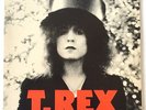 T. Rex - The Slider - Vinyl LP 33 RPM Marc Bolan 1972 Reprise Records 2095 NM