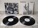 WHIPPING POST After & Really 