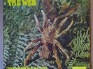 THE WEB Theraphosa Blondi LP DERAM 1969 UK orig First Press+Stereo MIKE VERNON