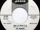 The NOMADS 45 Tell It Like It Is / Rainbows End JOSIE label promo DOO WOP mg302