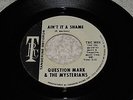 Question Mark & The Mysterians - Ain't It A Shame - garage - Tangerine - LISTEN