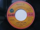 TERRY CALLIER - ORDINARY JOE -  PRESSING