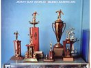 Jimmy Eat World - Bleed American [LP] (150 Gram) 2016/Sealed