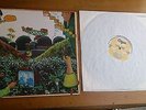 Elton Dean´s Ninesense - Oh For the edge  -  LP