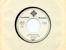 Musterplatte / Promo The Boots - Another Tear Falls / Gaby