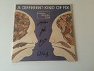 Bombay Bicycle Club - A Different Kind Of Fix LP - Cover Signed By Band.