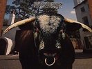 Swervedriver 'Mezcal Head' vinyl LP Creation