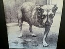 ALICE IN CHAINS SELF TITLED LP 1995 COLUMBIA 3-LEGGED DOG TRIPOD GRUNGE