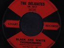 DELICATES: Black And White Thunderbird / Ronnie Is My Lover 45 Oldies