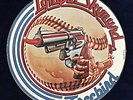 Lynyrd Skynyrd picture disc Freebird 12