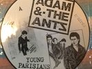 Adam And The Ants Picture Disc Young Parisians